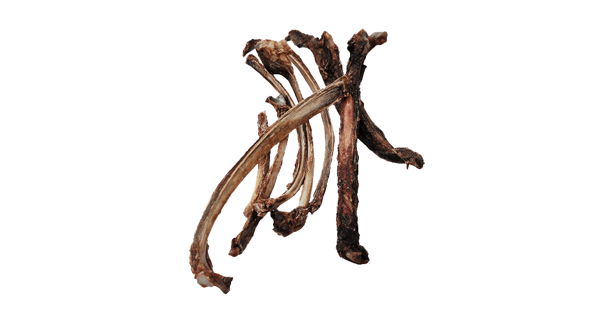 鹿のスペアリブ | BestPartner（ベストパートナー）